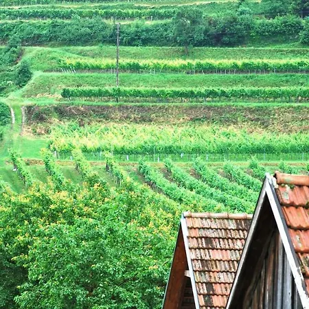 Appartement Weingut Jakob's Ruhezeit *