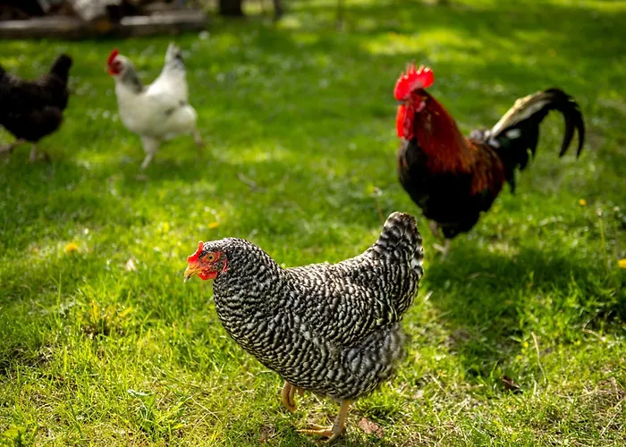 Apartment Weingut Jakob's Ruhezeit Mautern