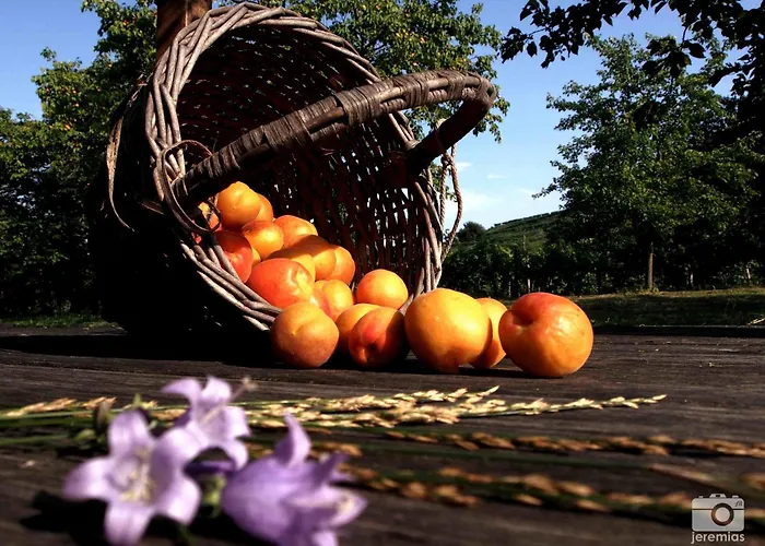 Apartment Weingut Jakob's Ruhezeit *