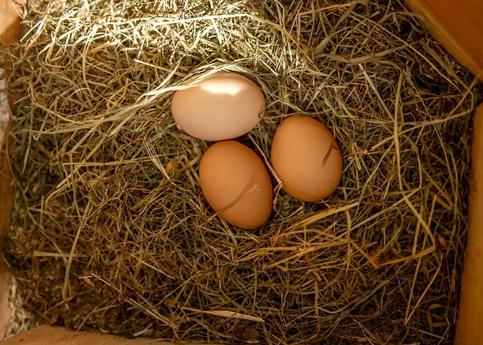 Weingut Jakob's Ruhezeit *