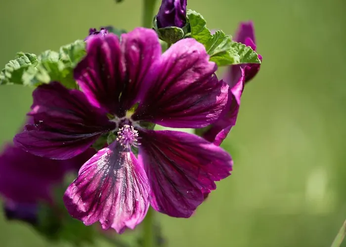 Apartment Weingut Jakob's Ruhezeit Mautern