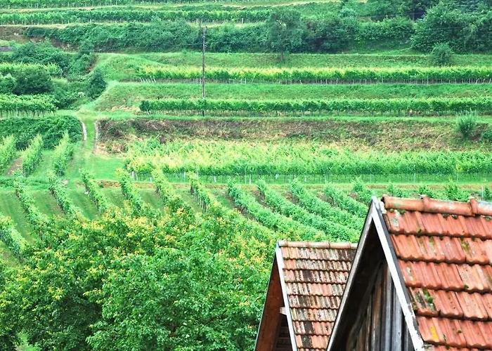 Apartment Weingut Jakob's Ruhezeit *